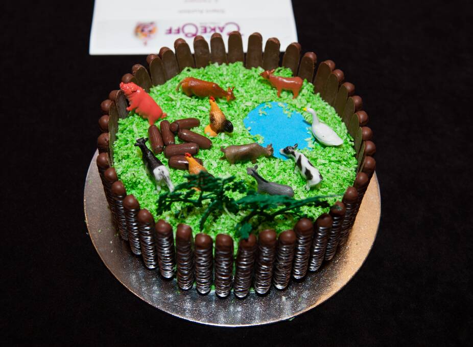 An entry from the first PANDSI Cake-Off in 2016, asking bakers to make something from the Australian Women's Weekly Children's Birthday Cake Book. Photo: Elesa Kurtz