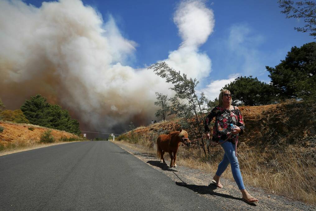 A woman brings her horse to safety during the fire at Carwoola. Photo: Alex Ellinghausen