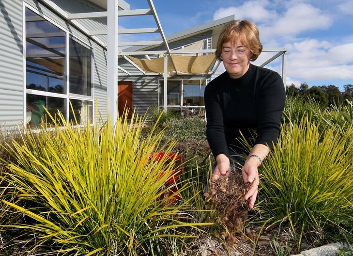 Jennie Curtis adds some mulch to her Zero Scape No Irrigation Garden at her property Roogulli Garden in Bywong.  Her home is solar passive and off the grid. Photo: Jeffrey Chan