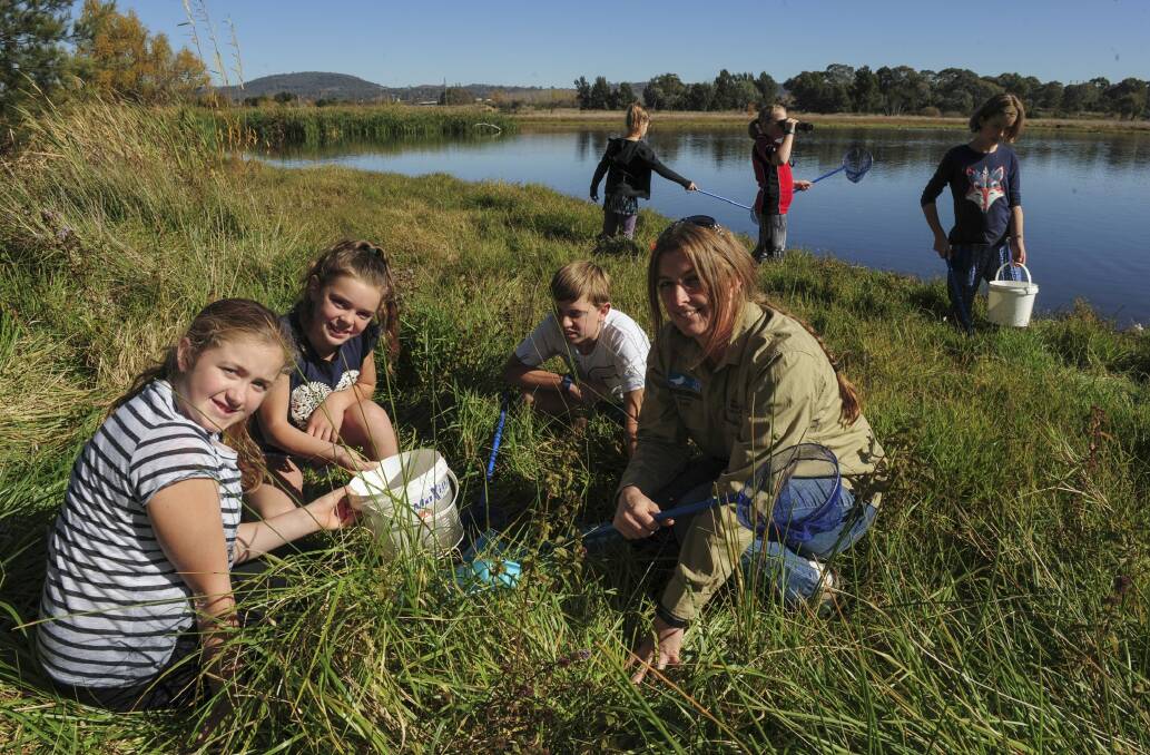 At the Jerrabomberra Wetlands, Lori Gould, program manager of the Woodlands and Wetlands Trust, front right, with children from the Young Rangers Program. Rear from left, Lily Mills, Kelly Bateup and Sophie Mills. Front from left Olivia Bateup, Amber Graham and Connor Graham.
 Photo: Graham Tidy