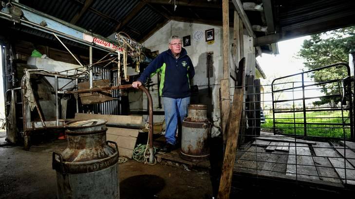 Lenny Walker,73 at The "Little Strathallan " dairy at Braidwood. Photo: Melissa Adams