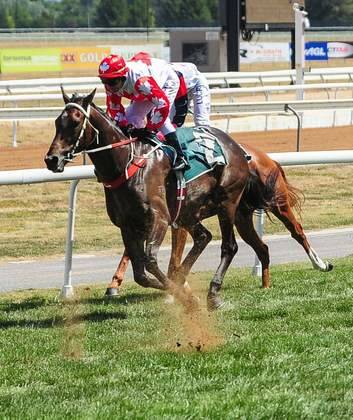 Sweeney finished the day with two third placings from five rides. Photo: Katherine Griffiths