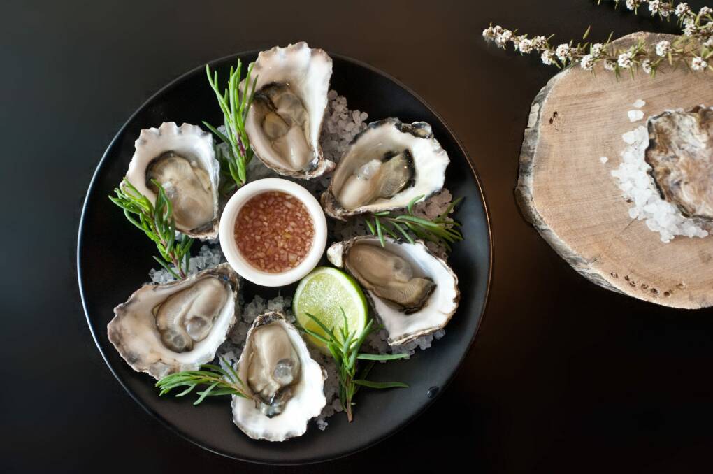 Specially grown oysters from Wapengo Rocks Wild Organic Oysters served at Temporada. Photo: Daniel Spellman