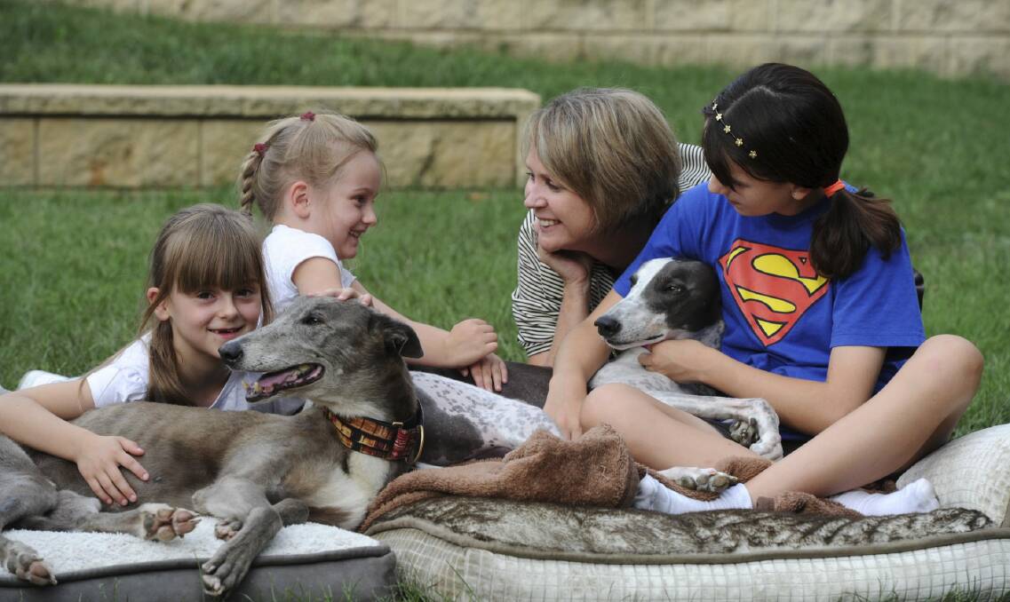 Dee Gibbon at home in Macquarie with family pet Opie, right, foster dog Hughie, and daughter Maya, 12, right, with neighbours Ella Hatch, 8, left, and Amelie Hatch, 6. Photo: Graham Tidy