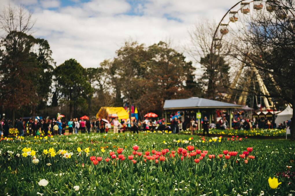 Is Floriade trying to be too many things?  Photo: Rohan Thomson