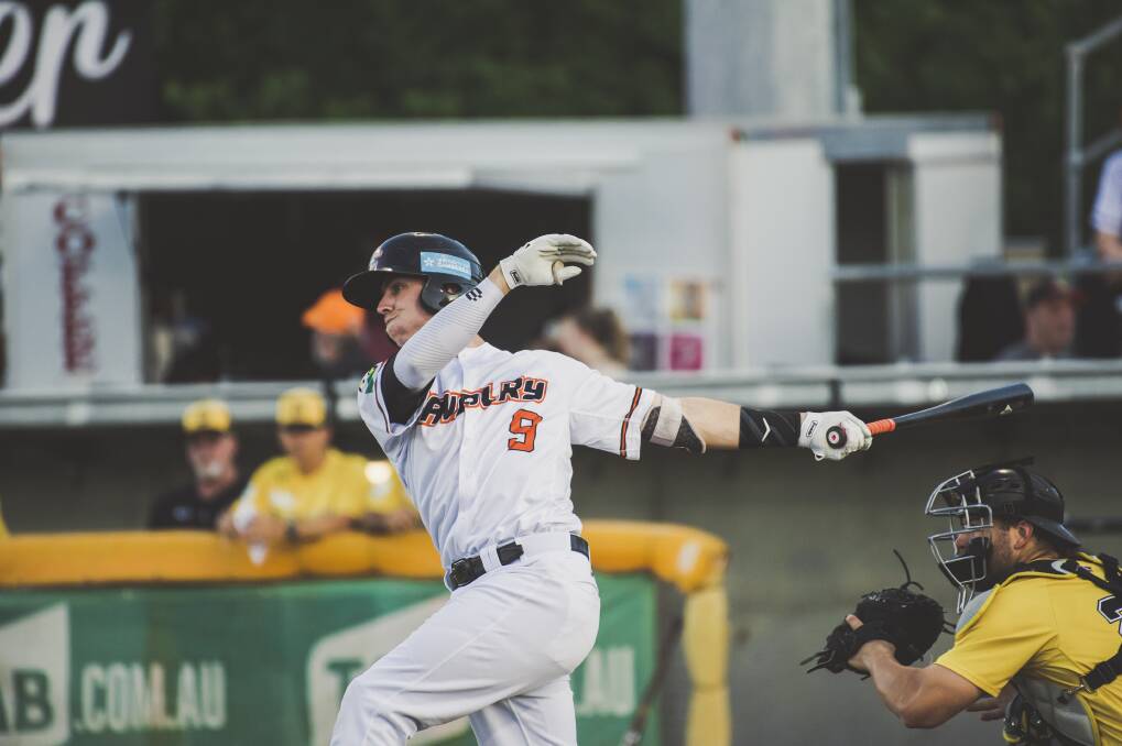 Canberra Cavalry's Robbie Perkins, pictured, has resigned with the club for another two years. Photo: Jamila Toderas