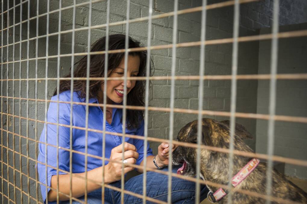 RSPCA ACT CEO Tammy Ven Dange is worried the vital program could "fall apart" without secure funding. Photo: Dion Georgopoulos
