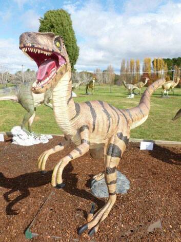 This Utahraptor was stolen from the National Dinosaur Museum. Photo: Supplied
