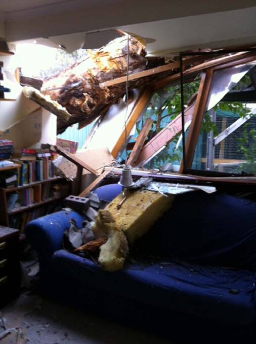 Lucky no one was home ... the 40m tree crashed through the house after being blown over yesterday.