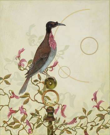 Artist Nicola Dickson's fresh look at a familiar Canberra garden bird, the Noisy Friar Bird.