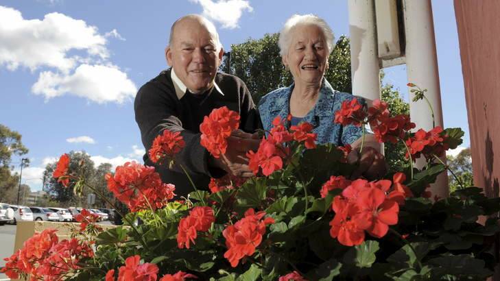 Members of the Canberra Geranium and Fuschia Society, Rex and Nancye Daley of Curtin, tend to a pot of geraniums.