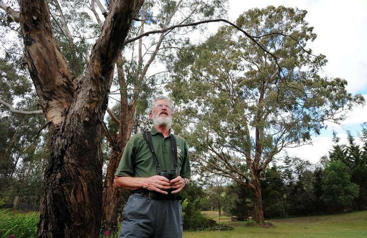 Martin Butterfield on his property at Whiskers Creek where he has collected data for a comprehensive garden bird survey. Photo: Andrew Sheargold