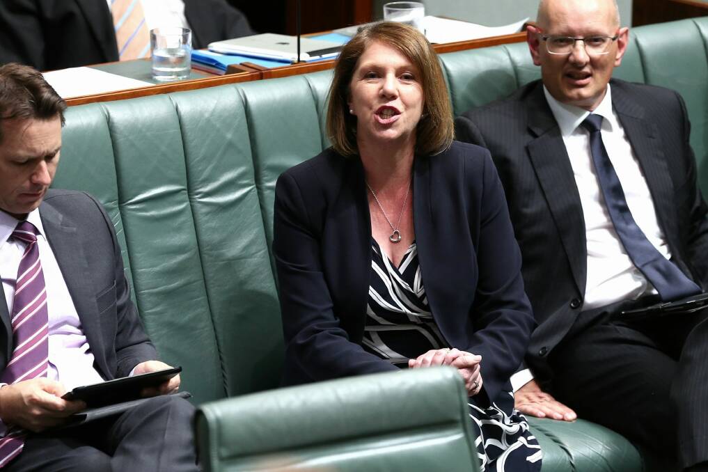 Catherine King has called for any savings found in the review to be reinvested in health care.  Photo: Alex Ellinghausen