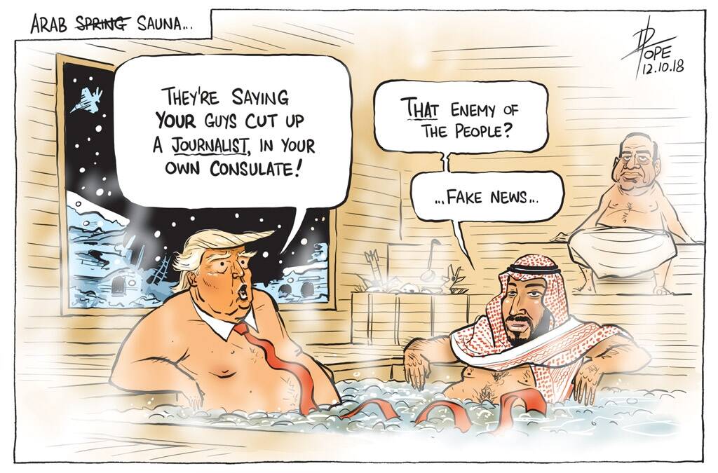 The Canberra Times' editorial cartoon for Friday October 12, 2018. Photo: David Pope