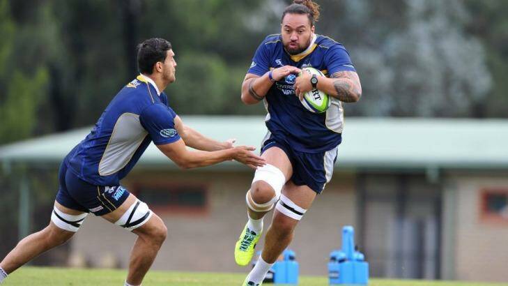 Fotu Auelua, right, is set to make his comeback this weekend against the Sharks. Photo: Jeffrey Chan