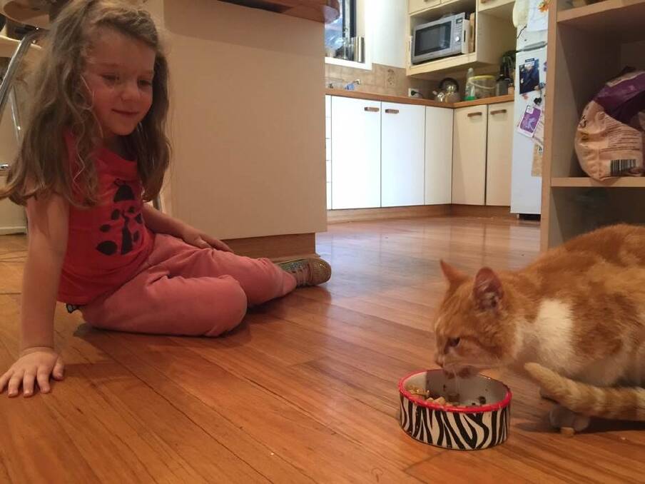 Canberra girl Ivy Marriott reunited with her great mate Jasper after three years. Photo: Supplied