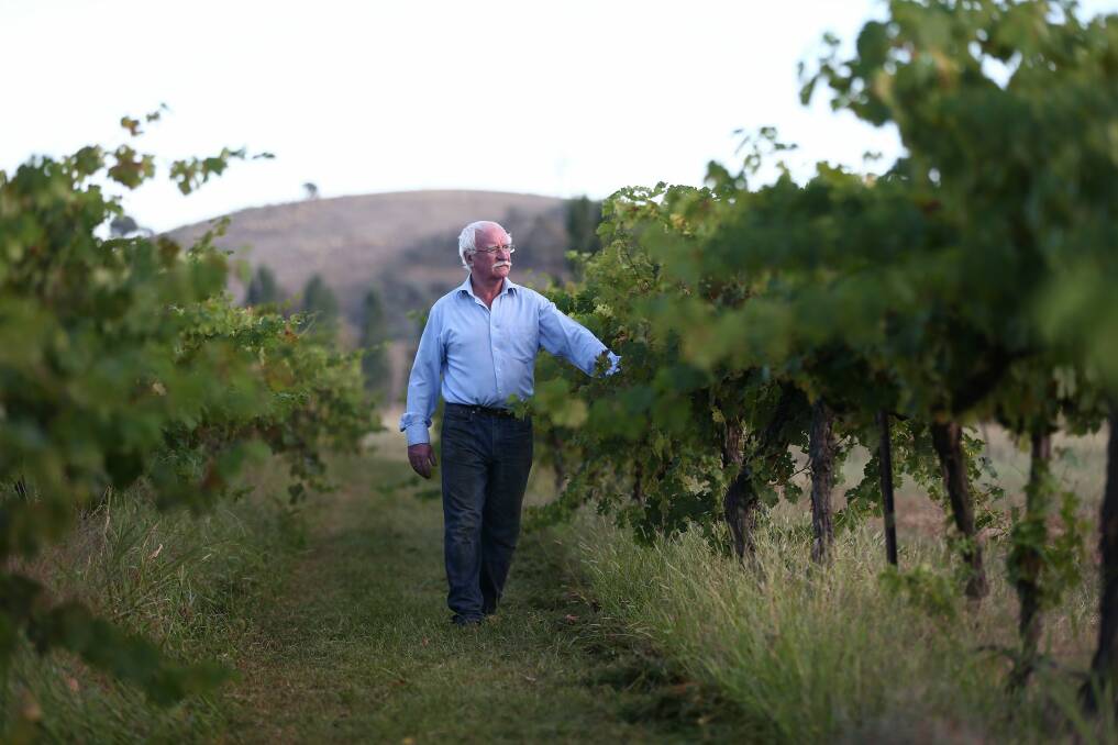 Ken Helm planted his first vines in Murrumbateman 45 years ago. Photo: Alex Ellinghausen