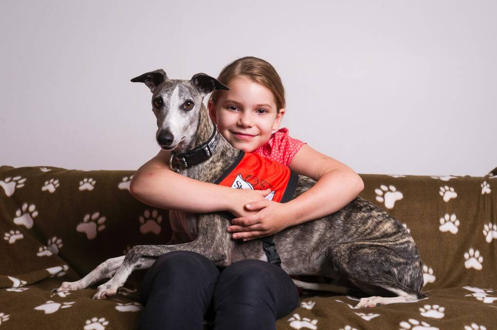 The Story Dogs program has been running in the ACT since 2017. Photo: Dion Georgopoulos