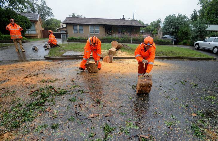 Majura SES volunteers Tony Yates, left, Jackson Diwell, Amanda Roach and Fran Freeman clear a tree from in front of a house in O'Connor yesterday as the wet weather clean up continues. Photo: Richard Briggs