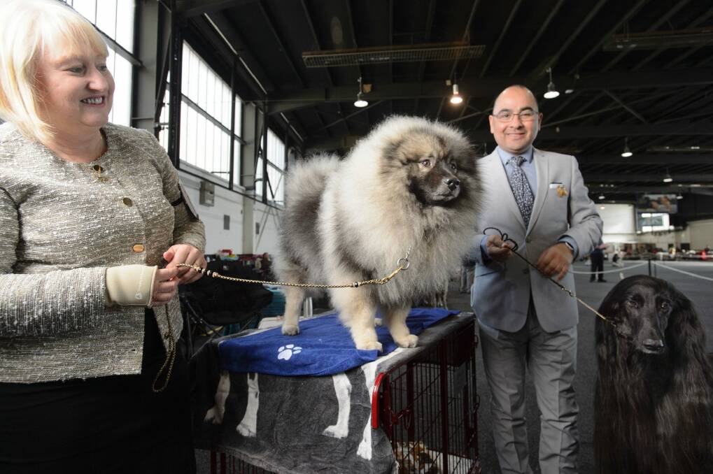 Beverley Barr from Canberra with her Keeshond Snoop and Gonzalo Donoso with his Afghan hound Conrad.  Photo: Sitthixay Ditthavong