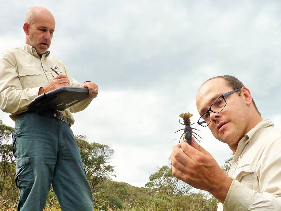 Mark Jekabsons (left) and Matt Beitzel record vital information about crayfish in the ACT's upland bogs. Photo: Tim the Yowie Man
