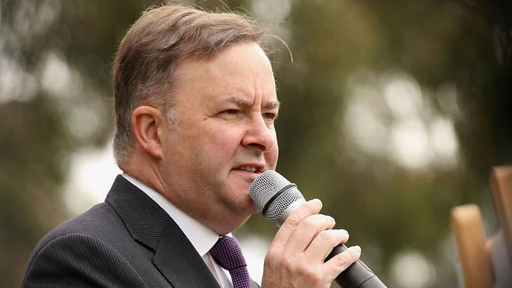 Deputy Prime Minister Anthony Albanese will release the High Speed Rail Advisory Group's report into high-speed rail today. Photo: Robert Prezioso