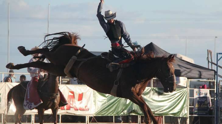 Queanbeyan will host it's rodeo on March 9. Photo: Ross Peake