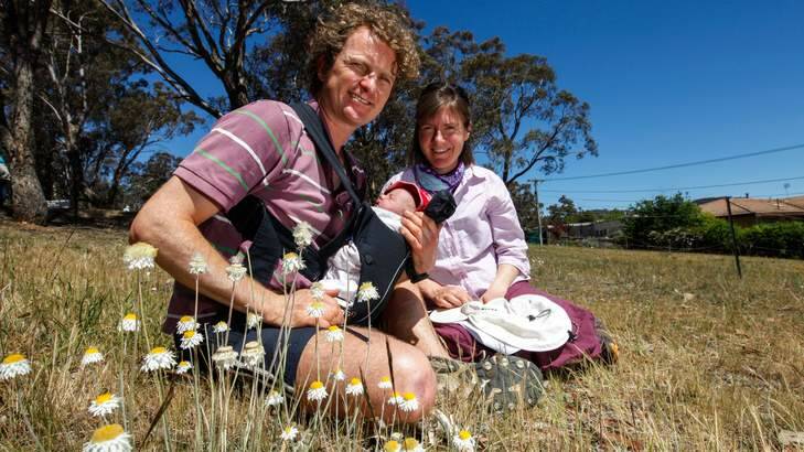 Matthew Hole, Vanessa Haverd and 11-day-old baby Erica Hole sit next to endangered Hoary Sunray, Leucochrysum albicans var. Photo: Katherine Griffiths