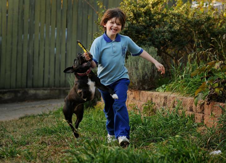 Seven-year-old Billy Margosis is chased by Maisie. Billy's asthma has improved since having dogs around.