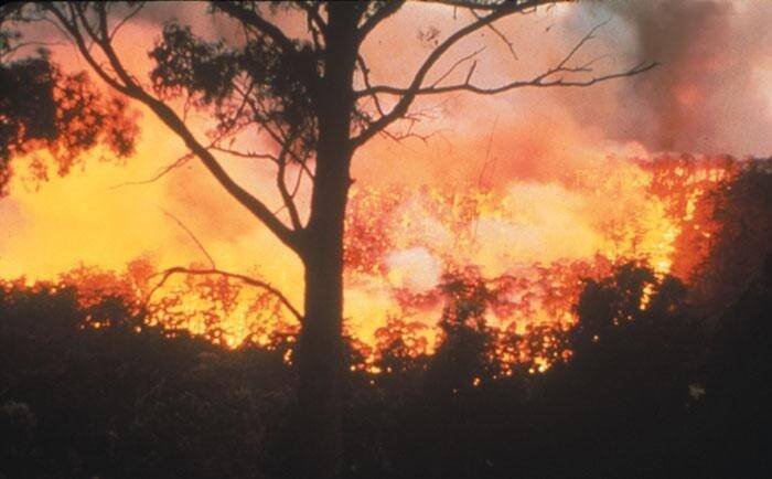 There were 487 homes destroyed in the January 2003 bushfires. Photo: Supplied