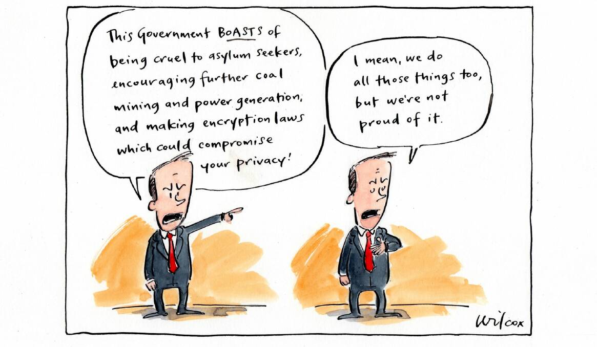 Today's editorial cartoon by Cathy Wilcox Photo:   