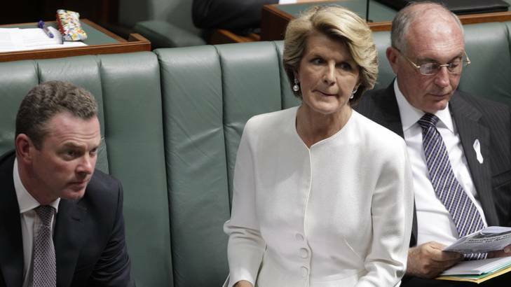 Deputy Opposition Leader Julie Bishop questions Prime Minister Julia Gillard. Photo: Andrew Meares