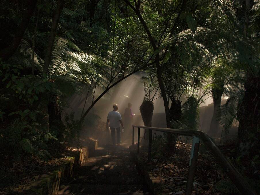 Rainforest Walk: Rather than a lake, it would be more fitting for Marion Mahony Griffin to have the Australian National Botanical Gardens bear her name. 