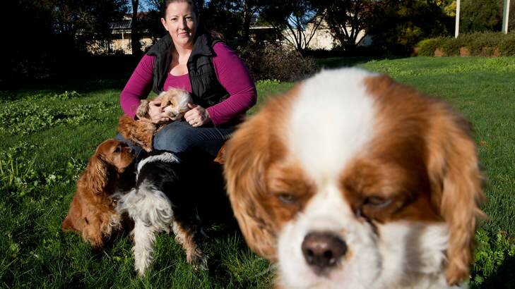 Kathryn Walters holding 'Maxwell', who has a genetic neurological disorder. Kathryn has many pets and also runs Cavalier Rescue, a fostering service for homeless cavalier spaniels, in Kilmore, Victoria. Photo: Paul Jeffers