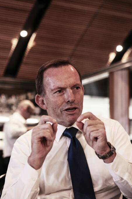 Tony Abbott is calling for senate reform. Photo: Peter Braig