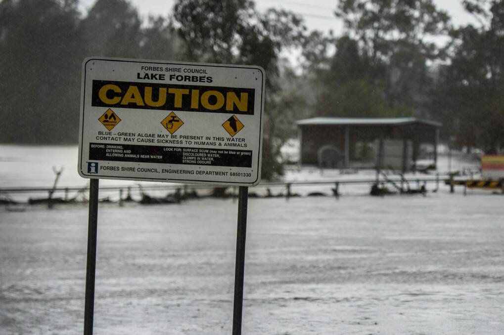 Floods have hit parts of New South Wales. An ACT emergency services team will assist in Deniliquin. Photo: Wolter Peeters