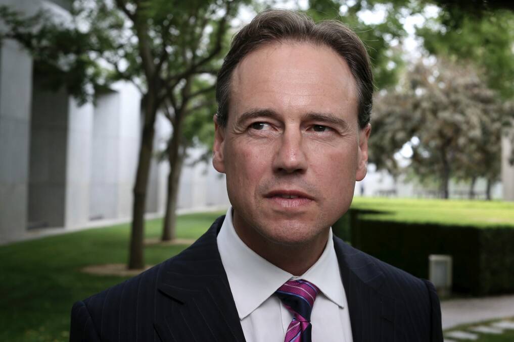Environment Minister Greg Hunt. Photo: Andrew Meares