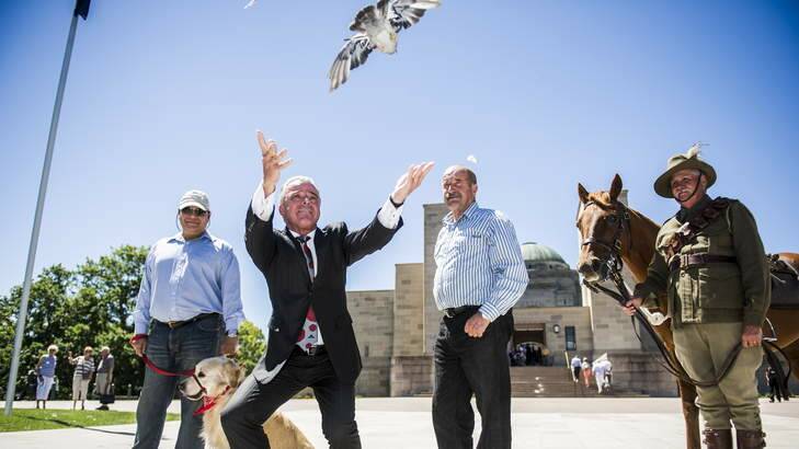 Brendan Nelson releases a pidgeon with (L-R) Michael Savage-Morton, Labrador Rajan, Peter D'Arcy, Phil Chalker, and Horse Copper ahead of the animals in war event on Sunday. Photo: Rohan Thomson