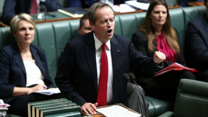 Opposition Leader Bill Shorten has dubbed the proposed fund, the "Palmer piggy bank". Photo: Alex Ellinghausen
