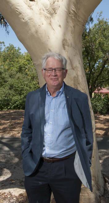 "Our priority in coming to government is to fix the economic mess we have inherited": Trade Minister Andrew Robb. Photo: Jesse Marlow