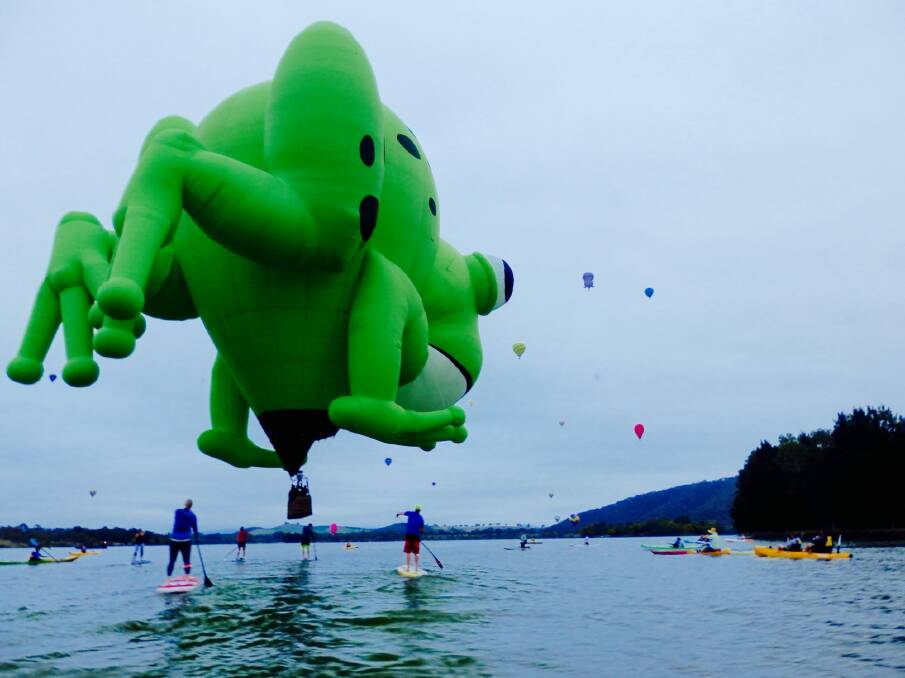 Kerbi the frog balloon gets close to stand up paddlers on Lake Burley Griffin on Wednesday morning. Photo: supplied