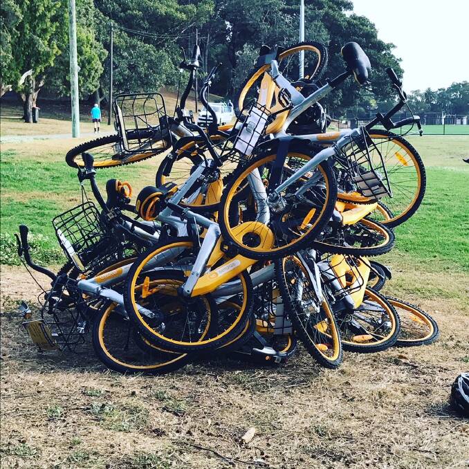 Bikeshares dumped at a Sydney Oval. Photo: Lucie Billingsley