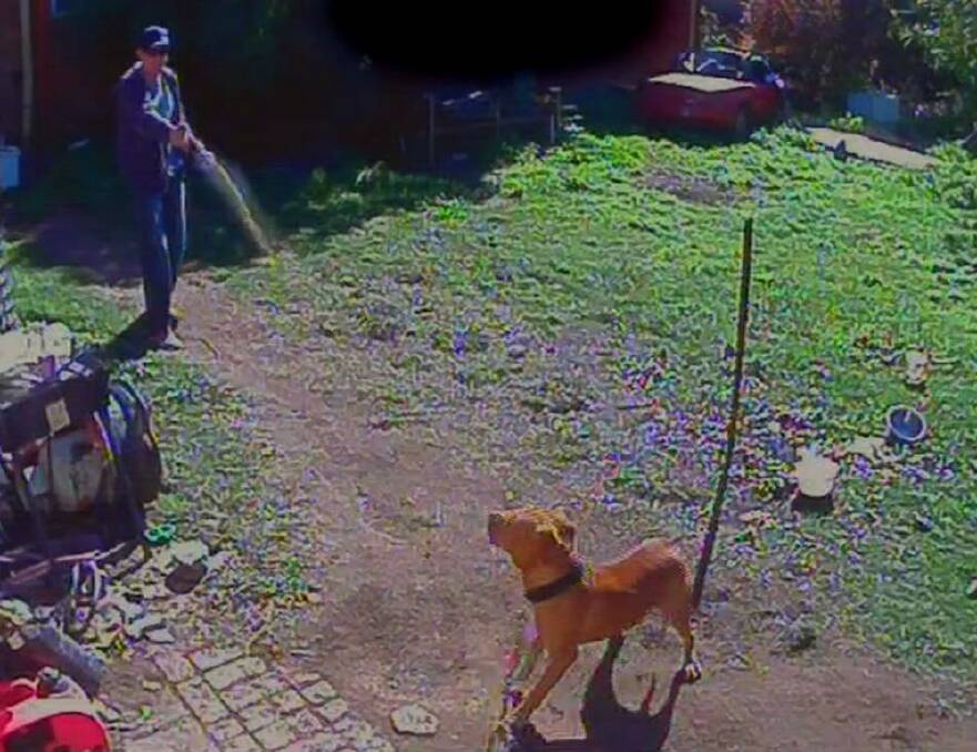 A screenshot from the security vision at the property.  Photo: Supplied