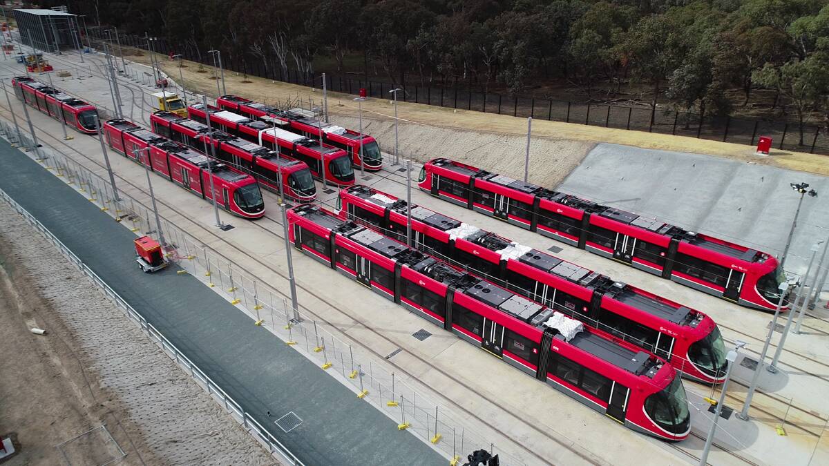 Canberra's new trams seem to be both disturbing and fascinating locals. Photo: Supplied