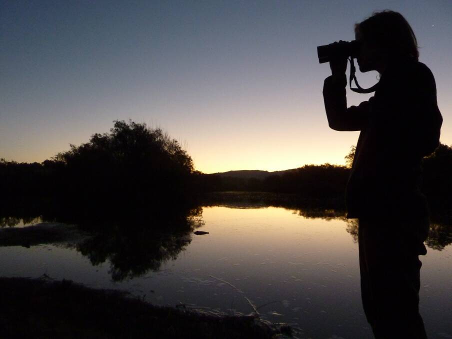 Point Hut Crossing in Gordon is a recommended spot to search for a platypus at dusk. Photo: Tim the Yowie Man