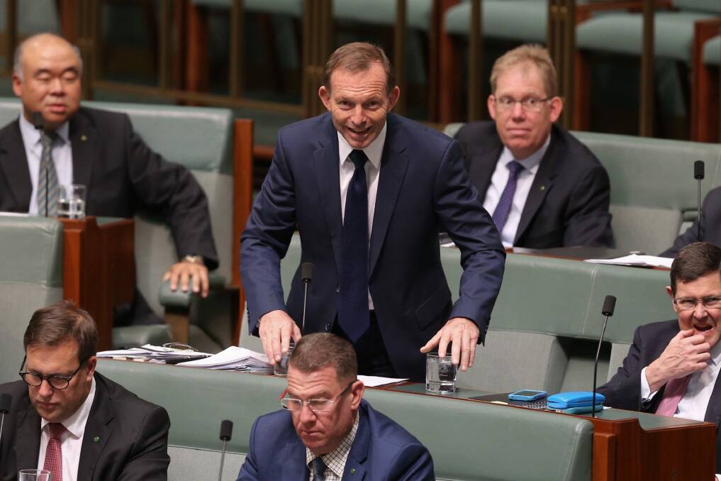 Tony Abbott during question time at Parliament House in Canberra. Photo: Andrew Meares