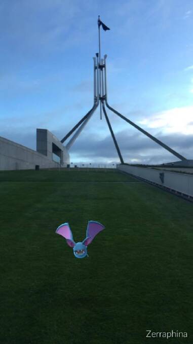 Kayza Grenfell captured this Zubat hanging out at Parliament House. Photo: Kayza Grenfell