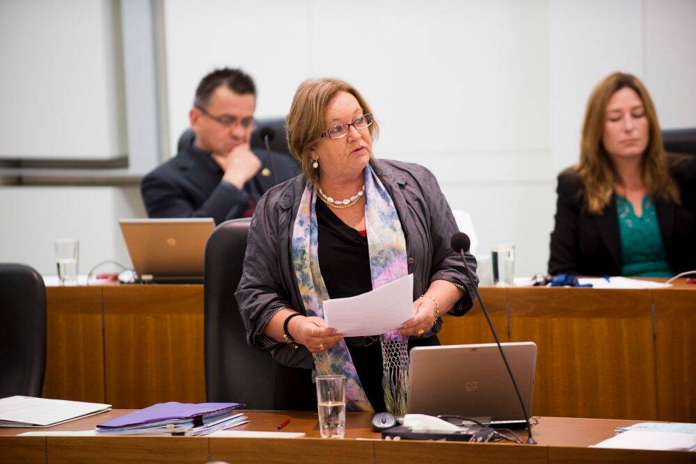 Disability Minister Joy Burch. Photo: Rohan Thomson