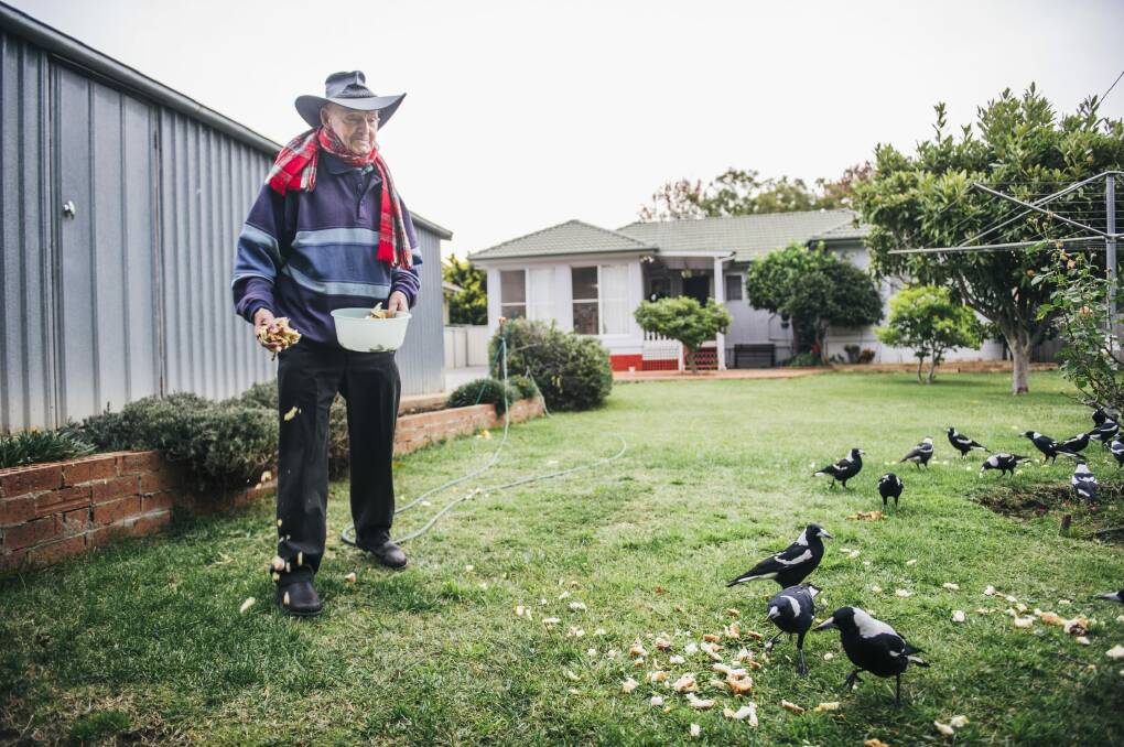 
Charlie Margulles feeds the birds in his backyard in Griffith.  Photo: Rohan Thomson