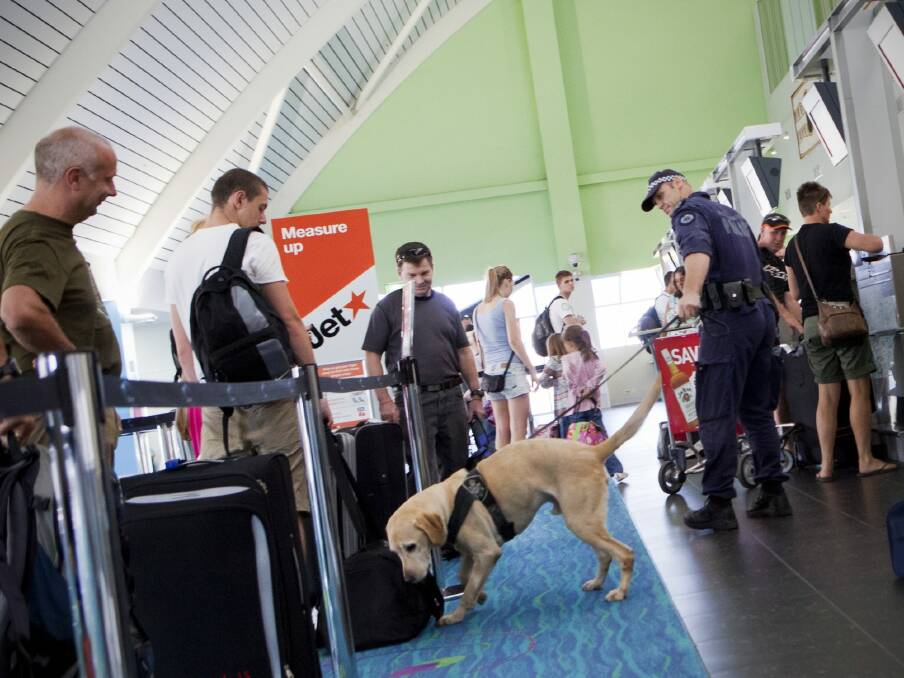 An Australian Federal Police detection dog at work in a check-in line. Photo: Supplied